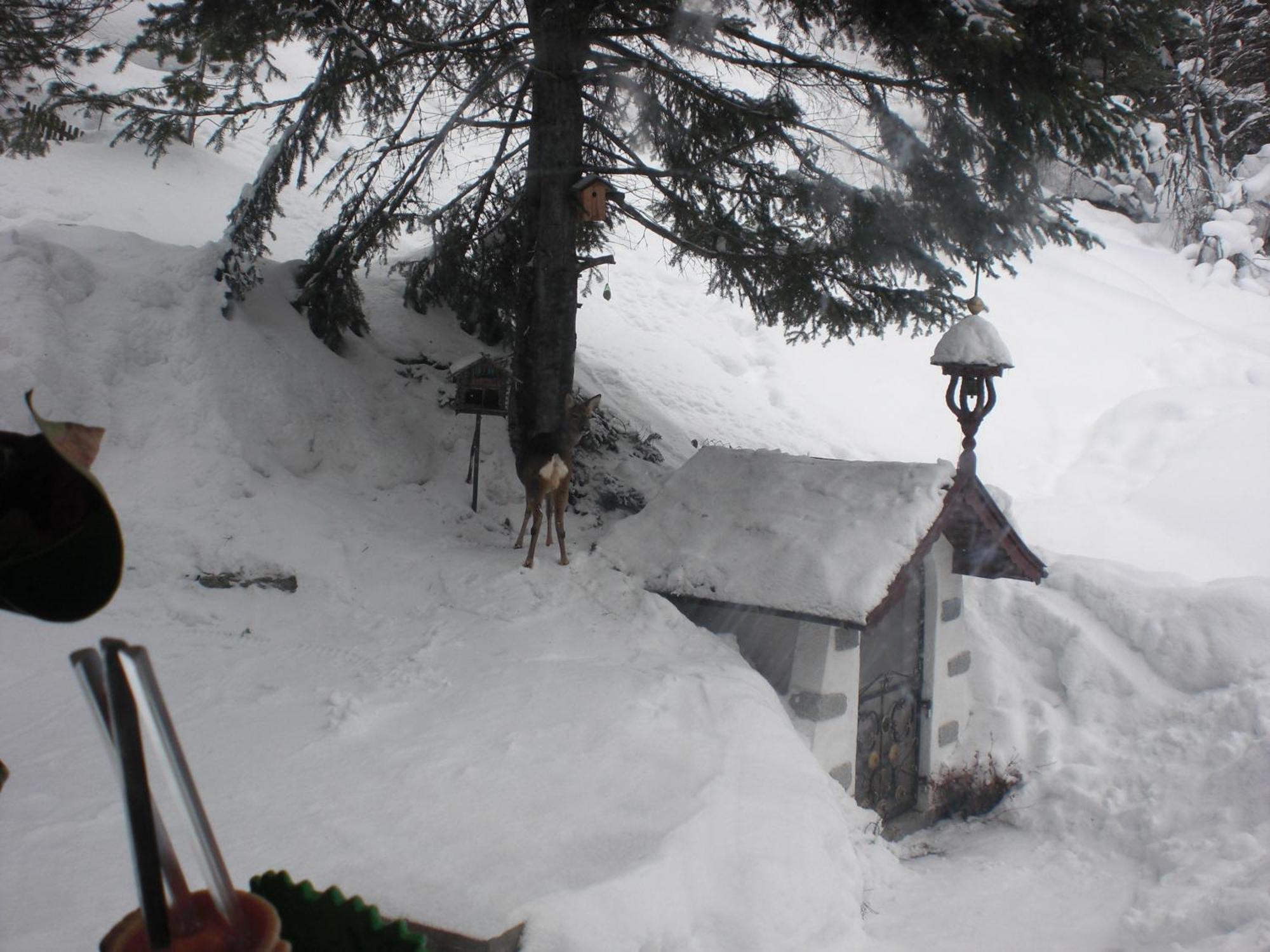 Haus Waldheim Otel Sankt Leonhard im Pitztal Dış mekan fotoğraf